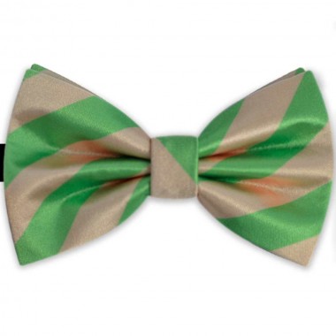 Papion barbati, model butterfly, dungi oblice, verde mar - bej